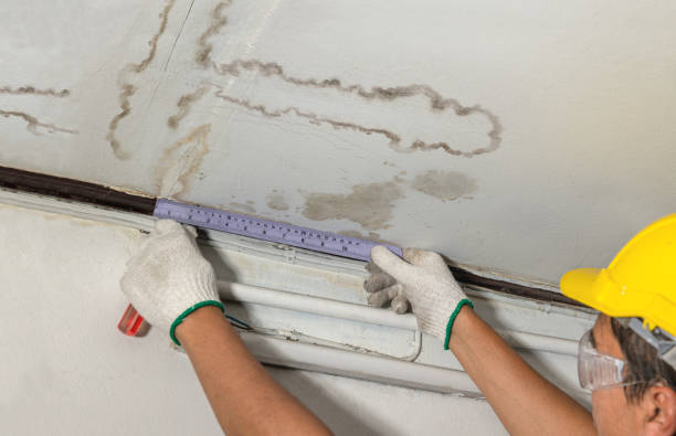 Reliable Mold Remediation contractor in Ninole, HI by Water Damage Irwin